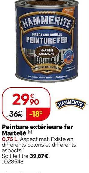 Peinture extérieure fer Martelé