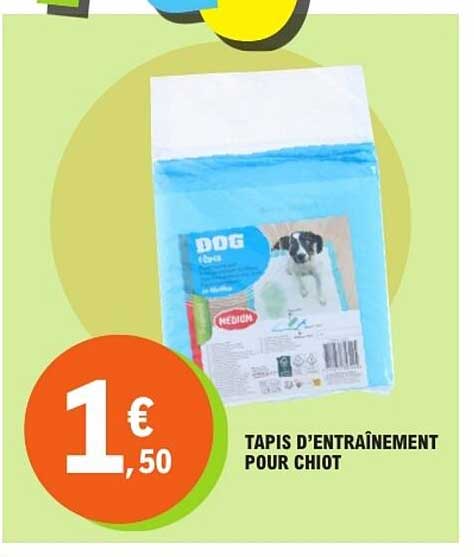 TAPIS D’ENTRAÎNEMENT POUR CHIOT