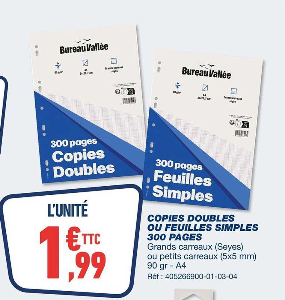 COPIES DOUBLES OU FEUILLES SIMPLES 300 PAGES