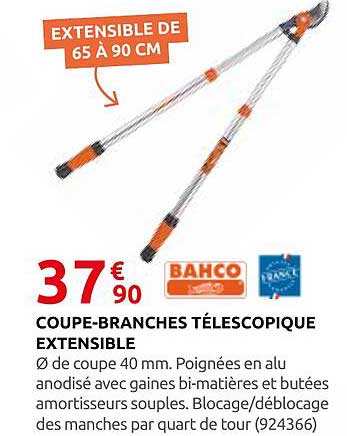 COUPE-BRANCHES TÉLESCOPIQUE EXTENSIBLE