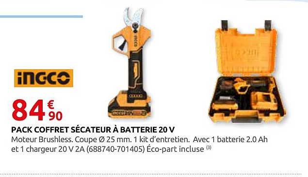 PACK COFFRET SÉCATEUR À BATTERIE 20 V