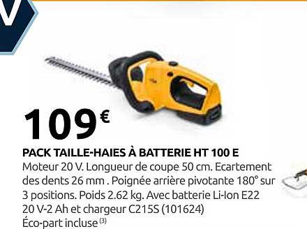 PACK TAILLE-HAIES À BATTERIE HT 100 E