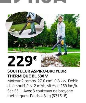 SOUFFLEUR ASPIRO-BROYEUR THERMIQUE BL 530 V