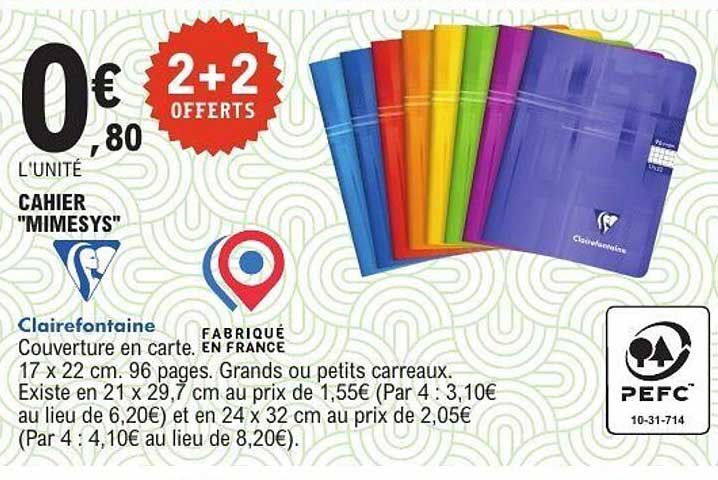 Cahier "Mimesys"