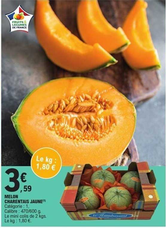 MELON CHARENTAIS JAUNE