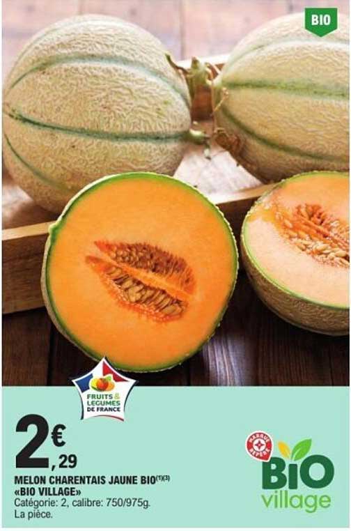MELON CHARENTais JAUNE BIO «BIO VILLAGE»