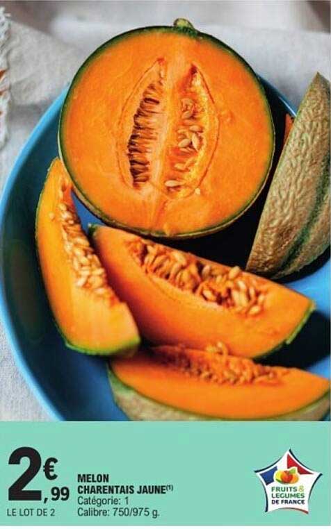 MELON CHARRENTais JAUNE