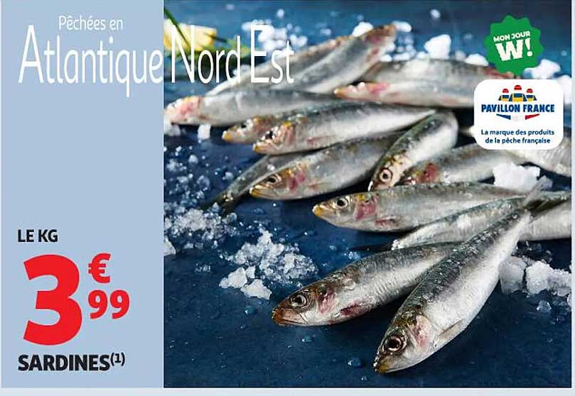 SARDINES
