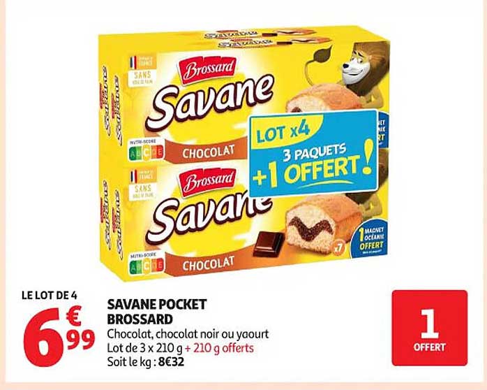 SAVANE POCKET BROSSARD