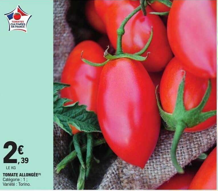 TOMATE ALLONGÉE