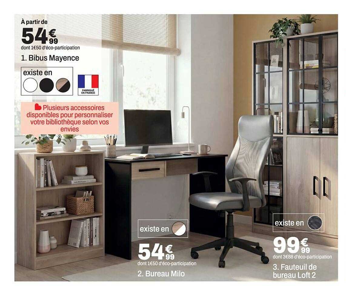 1. Bibus Mayence