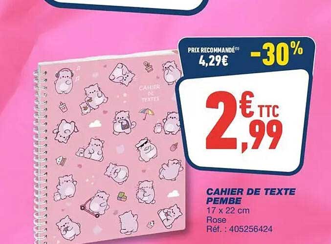 CAHIER DE TEXTE PEMBE