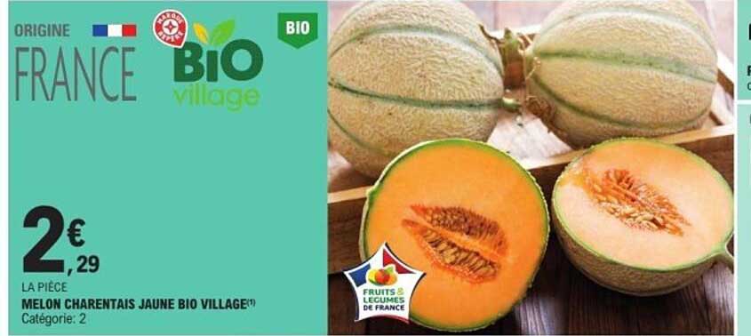 MELON CHARENTAIS JAUNE BIO VILLAGE