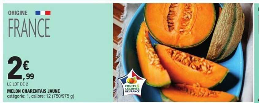 MELON CHARENTAIS JAUNE
