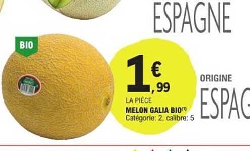 MELON GALIA BIO(*)