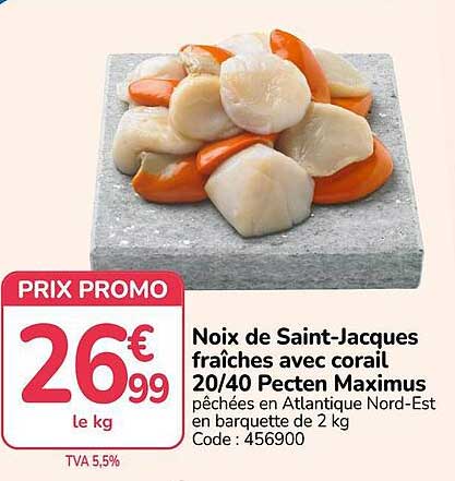 Noix de Saint-Jacques fraîches avec corail 20/40 Pecten Maximus