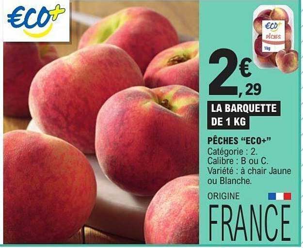 PÊCHES "ECO+"