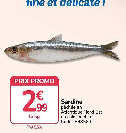 Sardine