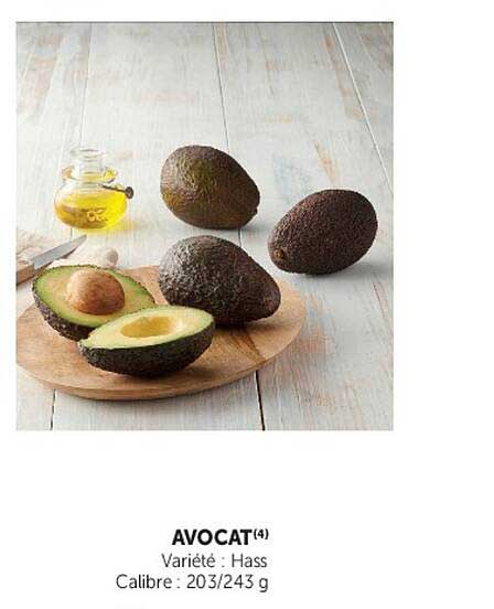 AVOCAT(4)