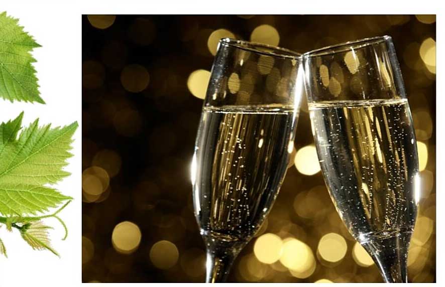 Champagne