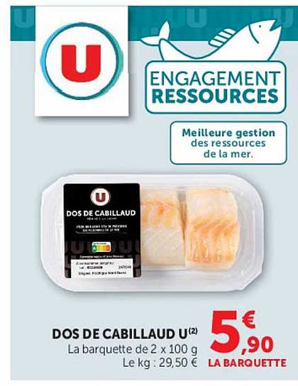DOS DE CABILLAUD U(2)