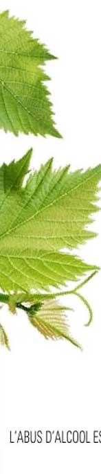 L'ABUS D'ALCOOL ES