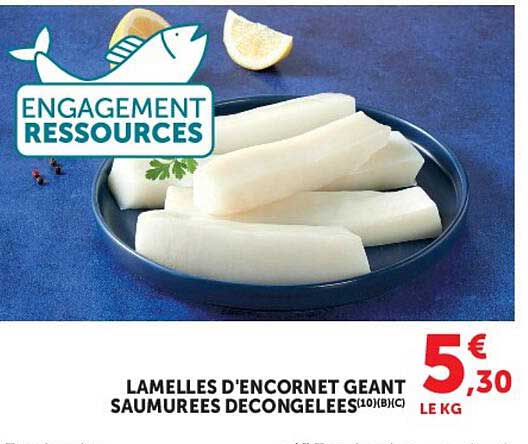 LAMELLES D'ENCORNET GEANT SAUMUREES DECONGELEES