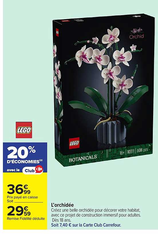 L’orchidée