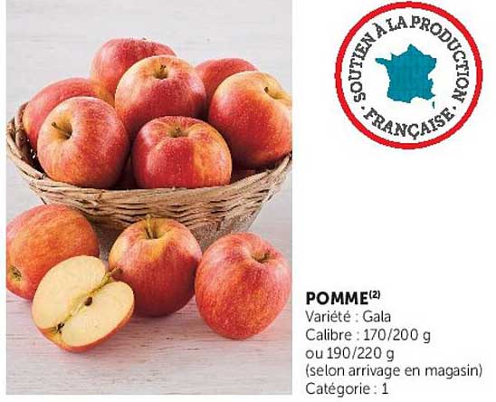POMME(2)