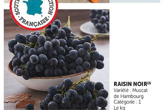 RAISIN NOIR(2)