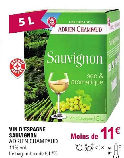 VIN D'ESPAGNE SAUVIGNON ADRIEN CHAMPAUD