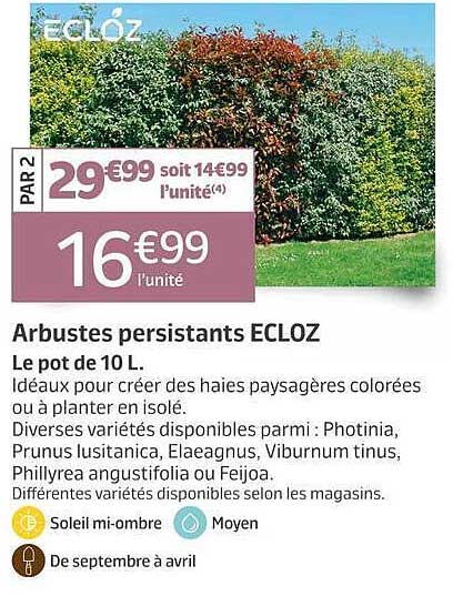 Arbustes persistants ECLOZ