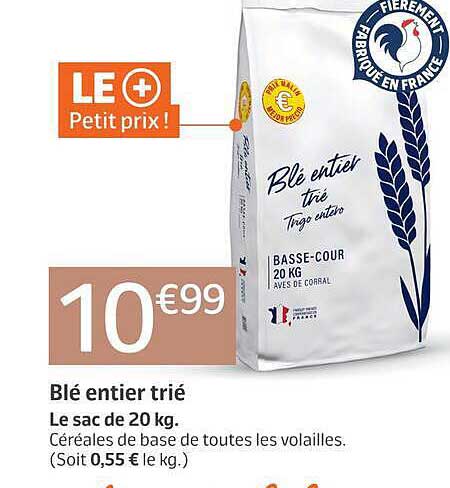 Blé entier trié