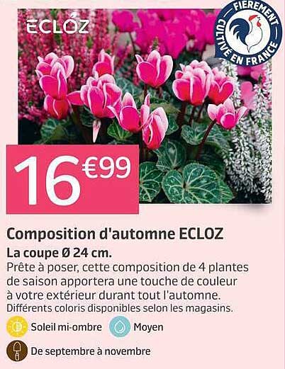 Composition d'automne ECLOZ