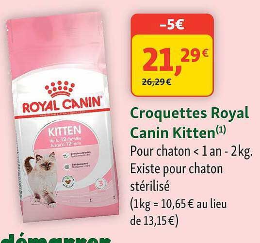 Croquettes Royal Canin Kitten