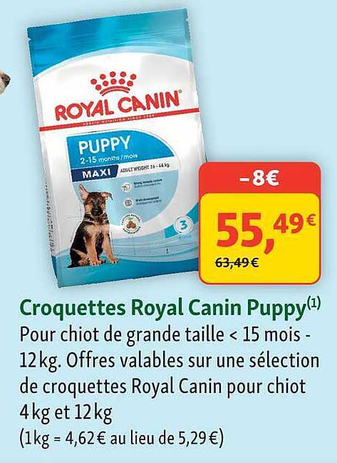 Croquettes Royal Canin Puppy