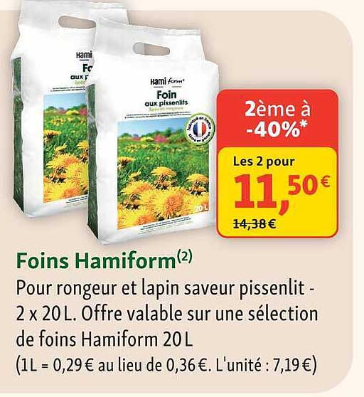 Foins Hamiform(2)