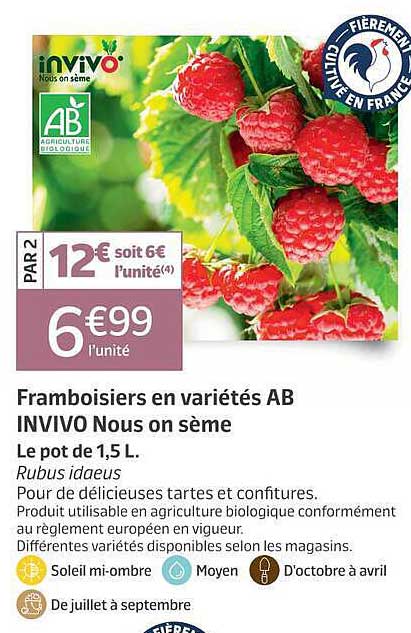 Framboisiers en variétés AB INVIVO Nous on sème