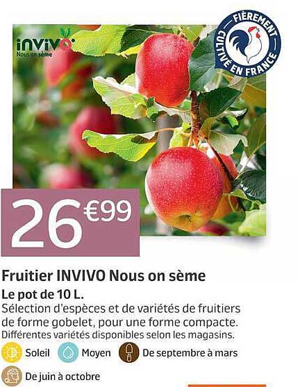Fruîtier INVIVO Nous on sème