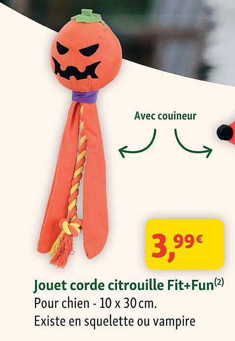 Jouet corde citrouille Fit+Fun(2)