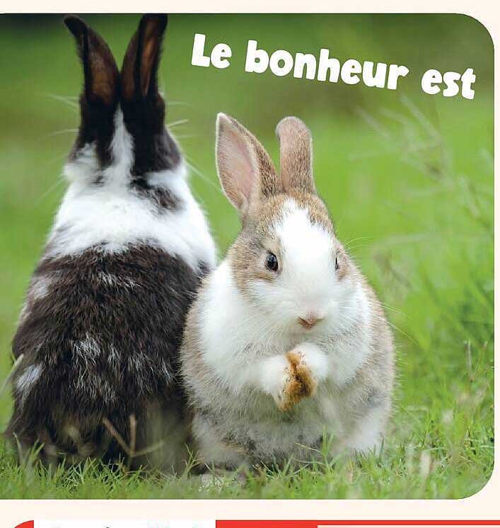 Le bonheur est