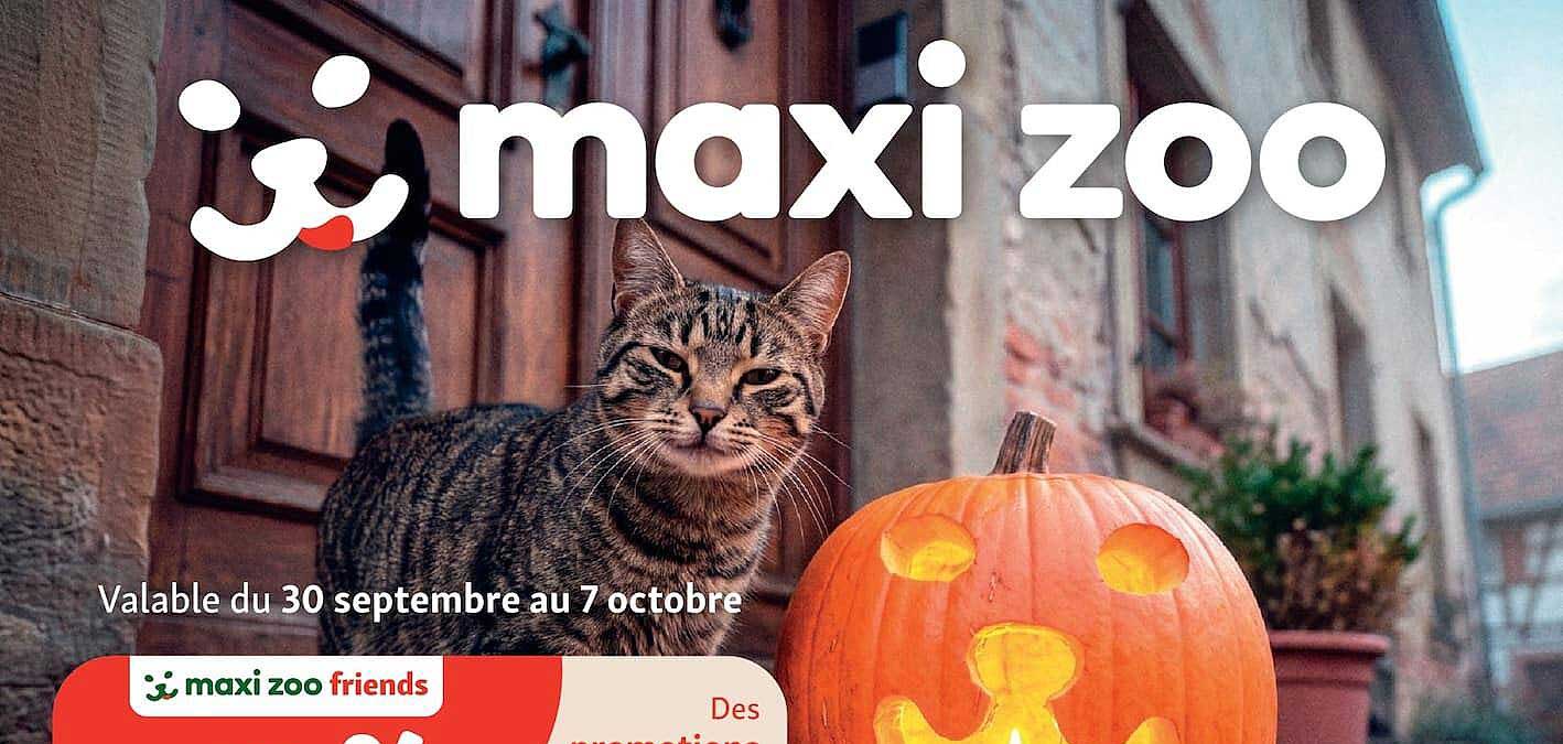 maxi zoo
