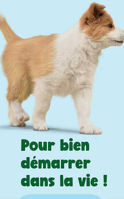 Pour bien démarrer dans la vie !