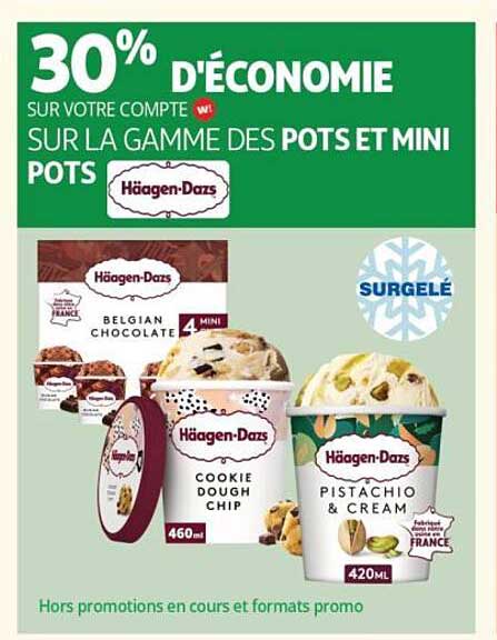 30% D'ÉCONOMIE SUR LA GAMME DES POTS ET MINI POTS HAAGEN-DAZS