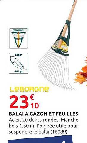 BALAI À GAZON ET FEUILLES