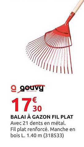 BALAI À GAZON FIL PLAT