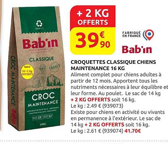 CROQUETTES CLASSIQUE CHIENS MAINTENANCE 16 KG