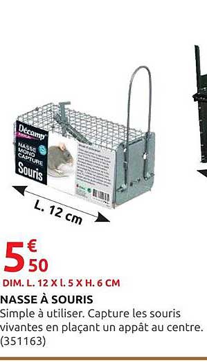 NASSE À SOURIS