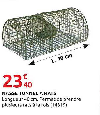 NASSE TUNNEL À RATS