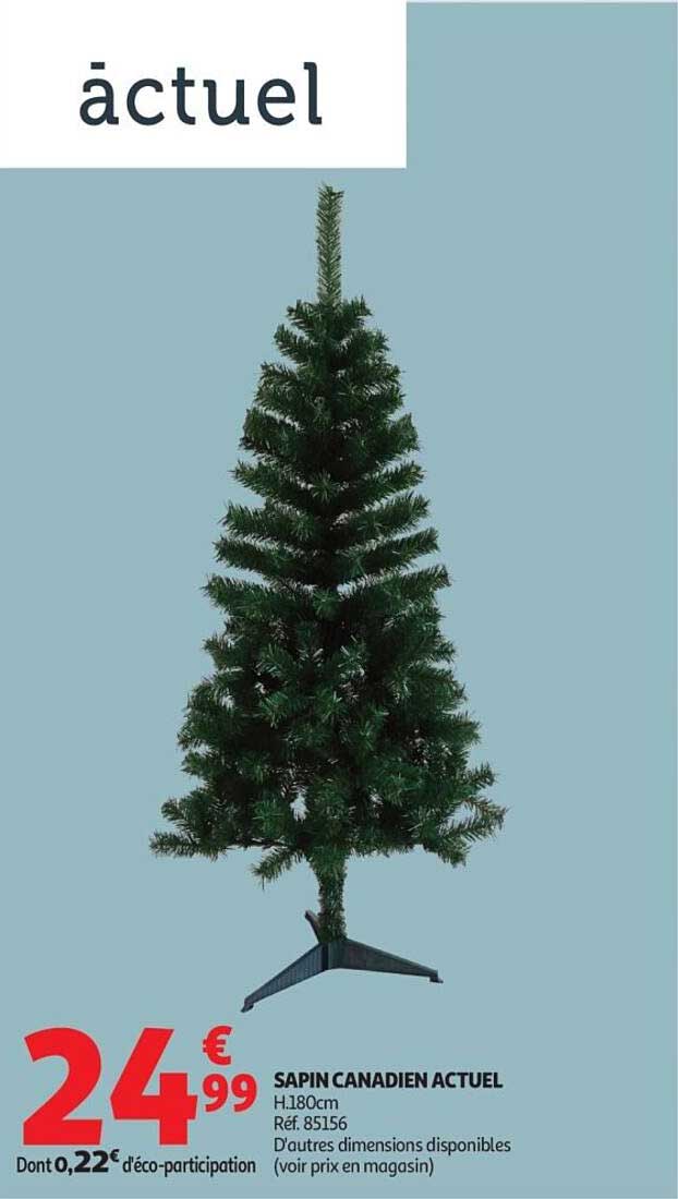 SAPIN CANADIEN ACTUEL